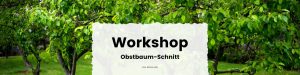 Obstbaum-Schnittworkshop auf unserer Streuobstwiese @ Kleingarten Grönland e.V.